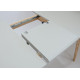 Стол обеденный Exen II 120(160)х80 см серый Intarsio