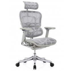 Крісло Кресло Ergohuman Luxury Plus Gray (EHPL-AG-HAM, ZB7) Comfort