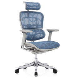 Крісло Ergohuman Luxury Plus Blue (EHPL-AG-HAM ZB5) Comfort Seating