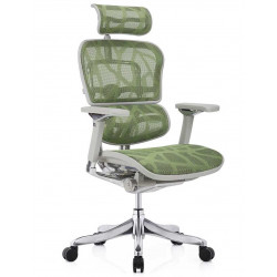 Кресло Ergohuman Luxury Plus Green (EHPL-AG-HAM ZB3) Comfort Seating