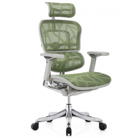 Кресло Ergohuman Luxury Plus Green (EHPL-AG-HAM ZB3) Comfort Seating