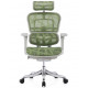 Кресло Ergohuman Luxury Plus Green (EHPL-AG-HAM ZB3) Comfort Seating