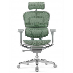 Кресло Ergohuman Elite 2 (EHE2-AG-HAM-5D-L, СЕТКА T-168-B2 GREEN) Comfort 