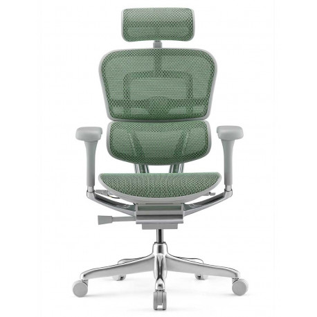 Кресло Ergohuman Elite 2 (EHE2-AG-HAM-5D-L, СЕТКА T-168-B2 GREEN) Comfort 