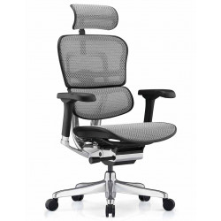 Кресло Ergohuman Luxury 2 (EHL2-AB-HAM-5D-E-L, Т-168-B2 NATURAL) Comfort 