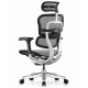 Кресло Ergohuman Luxury 2 (EHL2-AB-HAM-5D-E-L, Т-168-B2 NATURAL) Comfort 