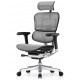 Крісло Кресло Ergohuman Luxury 2 (EHL2-AB-HAM-5D-E-L, Т-168-B2 NATURAL) Comfort 