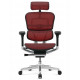Кресло Ergohuman Luxury 2 Electric Control (EHL2-AB-HAM-5D-E-L, СЕТКА Т-168-B1 SCARLET) Comfort