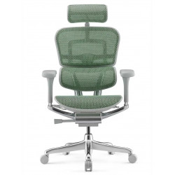 Кресло Ergohuman Luxury 2 Electric Control (EHL2-AG-HAM-5D-E-L, СЕТКА Т-168-B1 GREEN) Comfort