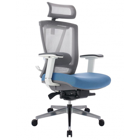 Кресло компьютерное эргономичное Ergo Chair 2 Blue KreslaLux