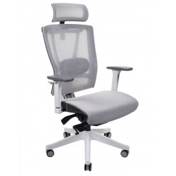 Крісло комп'ютерне ергономічне Ergo Chair 2 Mesh White Беж KreslaLux