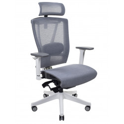 Крісло комп'ютерне ергономічне Ergo Chair 2 Mesh White Сірий KreslaLux