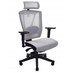 Крісло комп'ютерне ергономічне Ergo Chair 2 Mesh Whit Чорний/Сірий KreslaLux