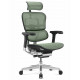 Кресло Ergohuman Elite 2 (EHE2-AB-HAM-5D-L, СЕТКА T-168-B6 GREEN) Comfort 