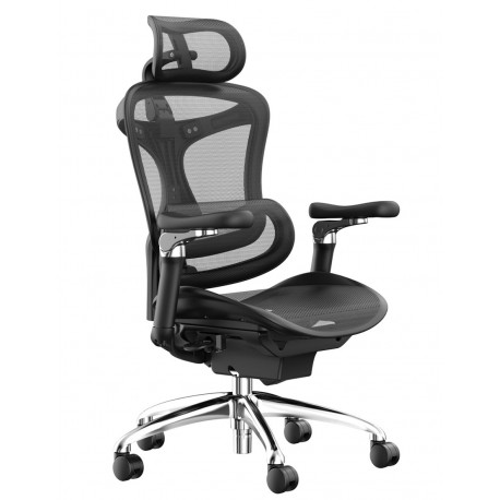 Кресло Sihoo Doro C300 black KreslaLux