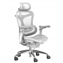 Кресло Sihoo Doro C300 white KreslaLux