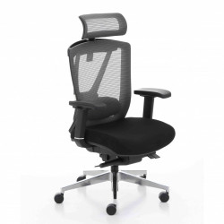 Кресло компьютерное эргономичное  Ergo Chair 2 KreslaLux