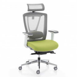 Крісло комп'ютерне ергономічне Ergo Chair 2 Green KreslaLux