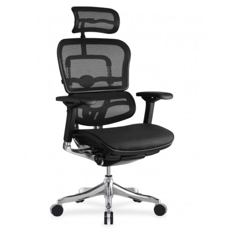 Кресло Ergohuman Plus Comfort Seating