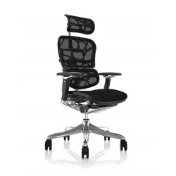 Кресло Ergohuman Luxury Plus Black (EHPL-AB-HAM) Comfort Seating