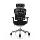 Кресло Ergohuman Luxury Plus Black (EHPL-AB-HAM) Comfort Seating